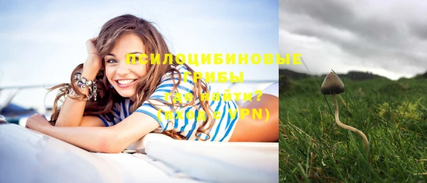 метадон Богородск