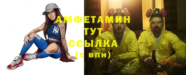 ECSTASY Богданович