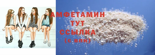 ECSTASY Богданович