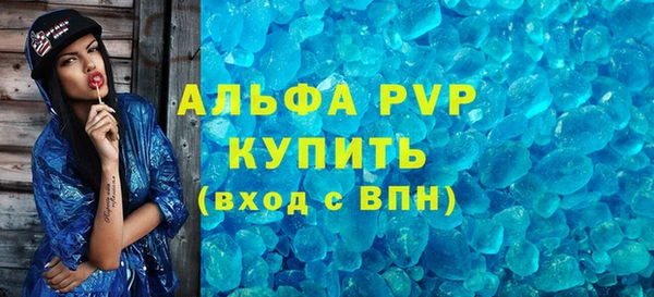 ECSTASY Богданович