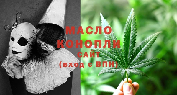 ECSTASY Богданович