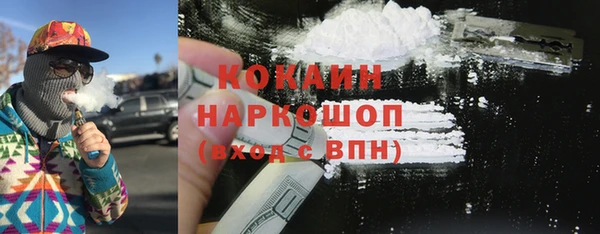 ECSTASY Богданович