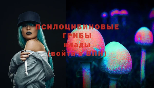 ECSTASY Богданович