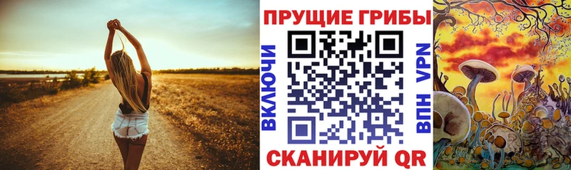 Псилоцибиновые грибы GOLDEN TEACHER  Чишмы 